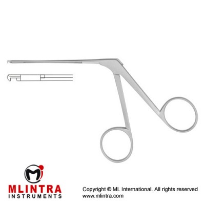 House-Dieter Malleus Nipper Down Cutting Stainless Steel, 8 cm - 3" Jaw Opening 1.3 mm House-Dieter Malleus Nipper Down Cutting Stainless Steel, 8 cm - 3" Jaw Opening 1.3 mm